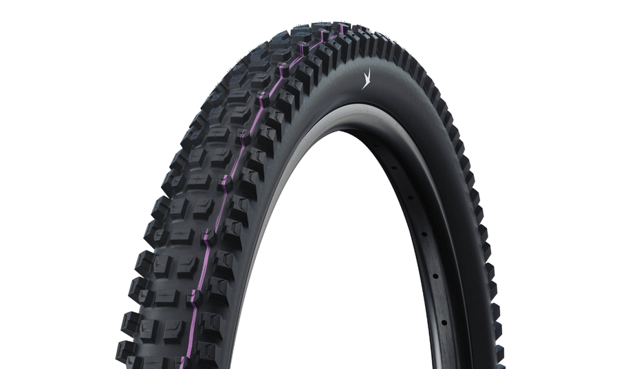 Pneu Schwalbe Albert Radial - Gravity Pro - Ultra Soft - Tubeless Ready